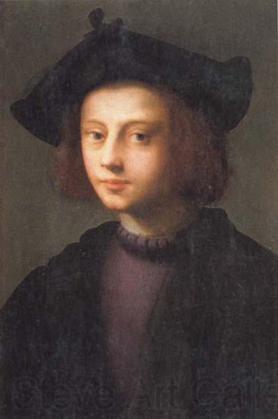 PULIGO, Domenico Portrait of Piero Carnesecchi France oil painting art
